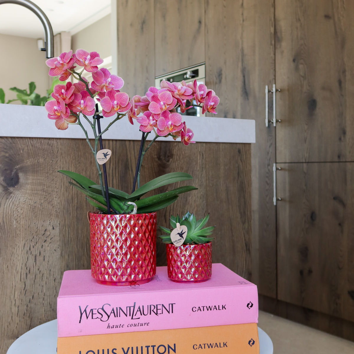 Kolibri Orchids | rode phalaenopsis orchidee Congo + Diamond Pearl Pot rood - potmaat Ø9cm | bloeiende kamerplant - vers van de kweker