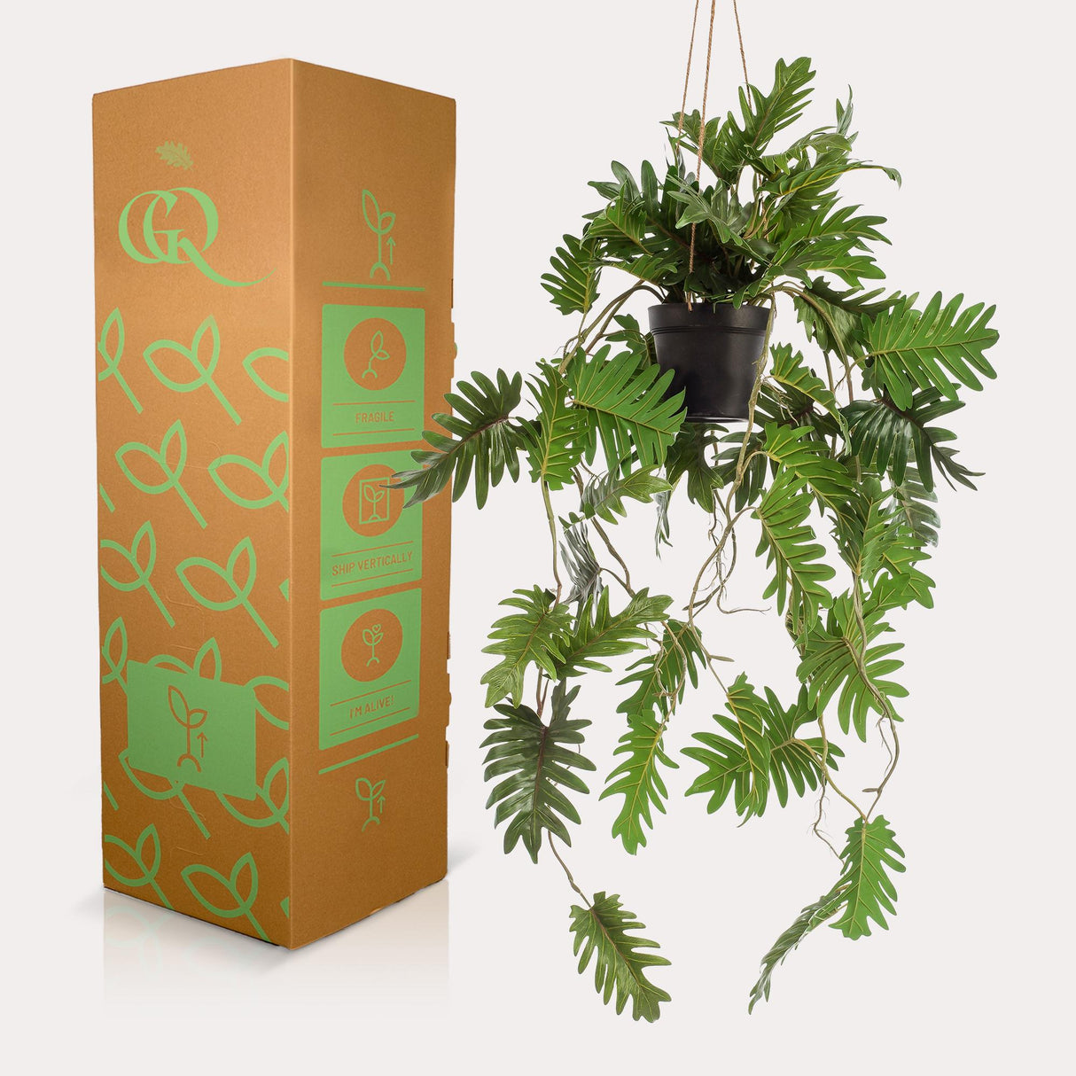 Kunstpflanze - Philodendron - Kletternder Baumliebhaber - 80 cm