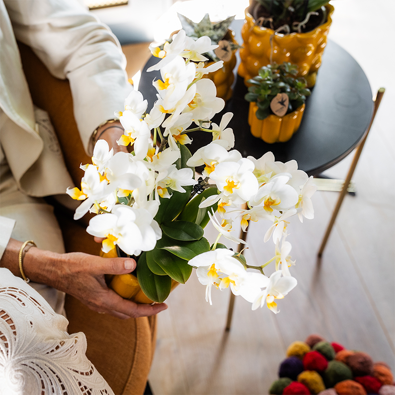 Kolibri Orchids | Planten cadeau beterschap | Lausanne orchidee met pot, kaart & cadeautas