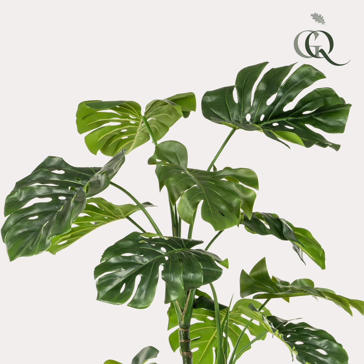 kunstplant - Monstera - Gatenplant - 180cm