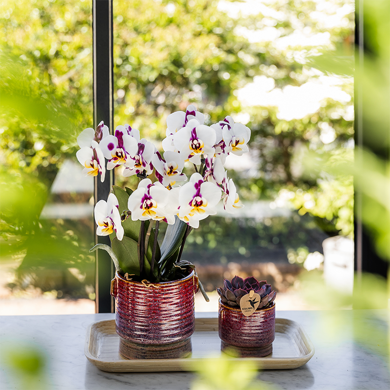 Kolibri Home | Aura sierpot - Ø9cm