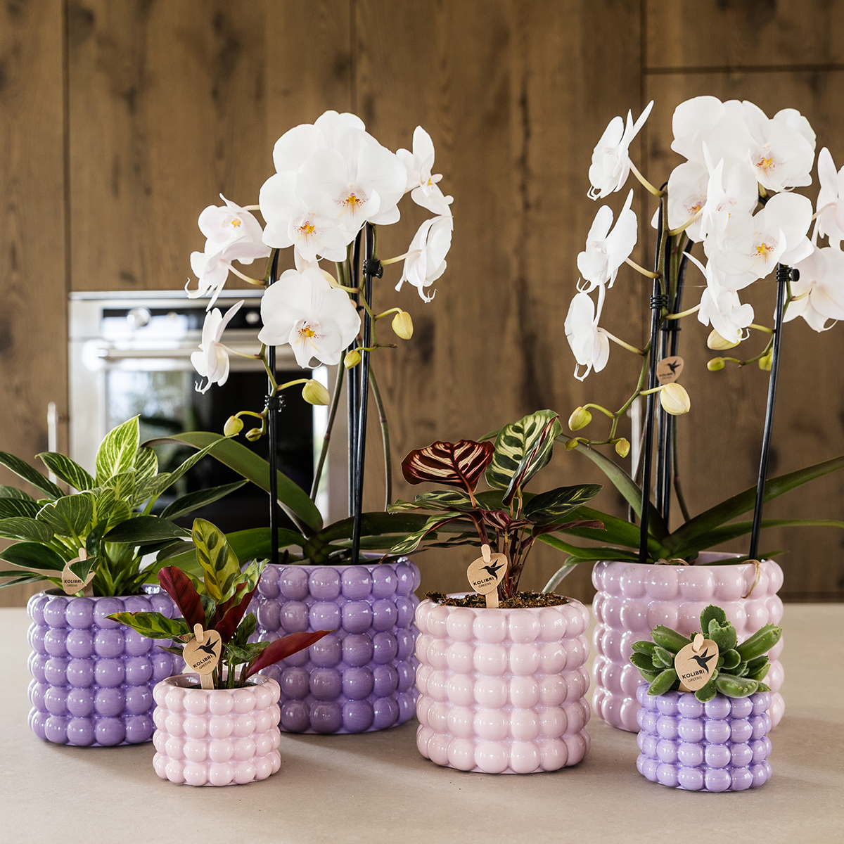 Kolibri Home | Poppy sierpot - Pink - Ø6cm
