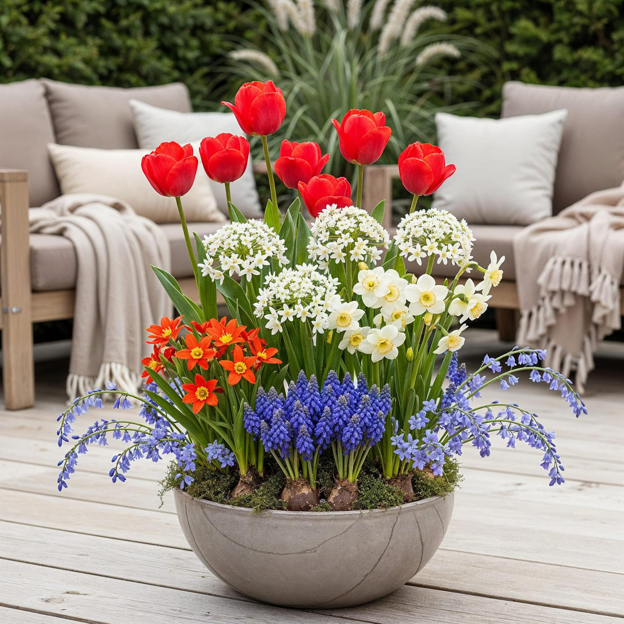 Green boutiQ - Bloembollen - Bulbs From Holland - Diversen Kleuren - 125 stuks - Gift Verpakking