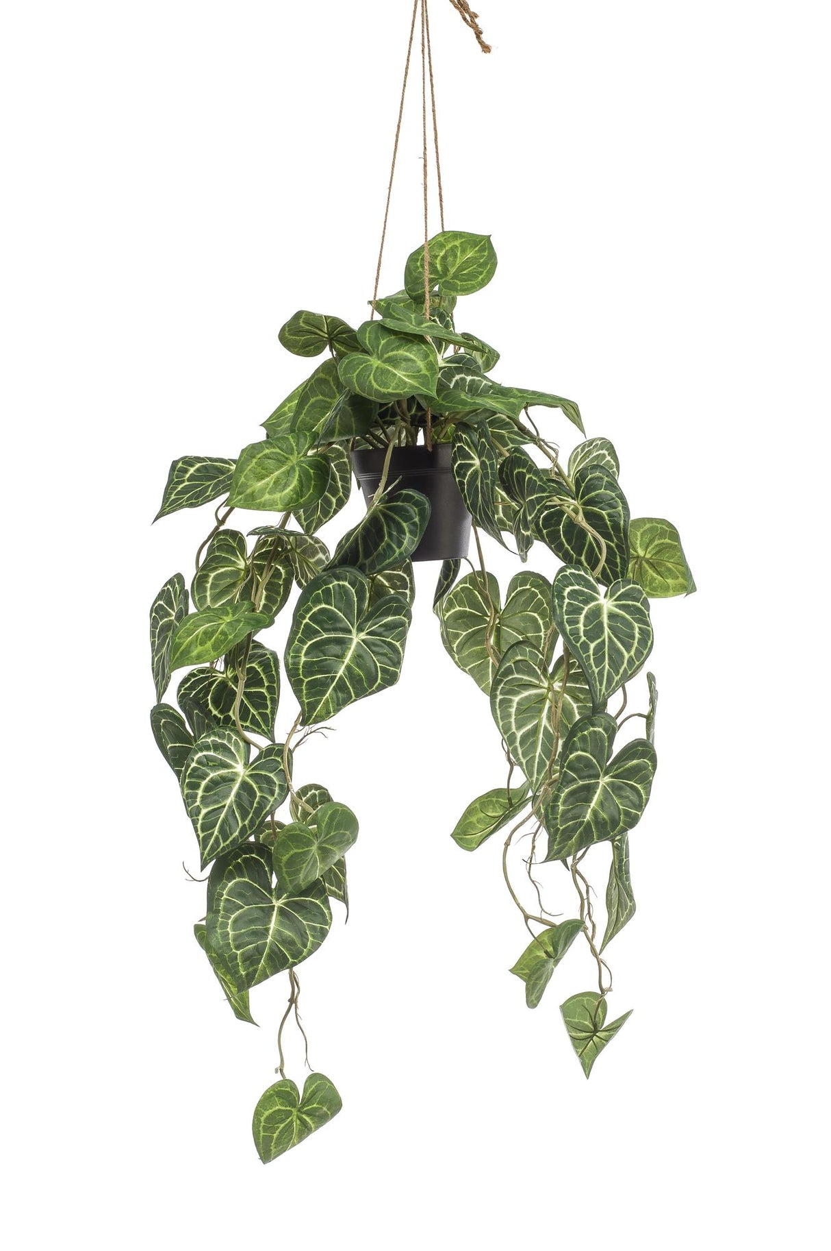 Kunstpflanze - Anthurium Clarinervium - Aderpflanze - 80 cm