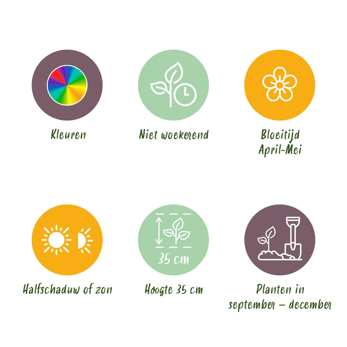 Green boutiQ - Bloembollen - Tulp Praestans mix - Diversen Kleuren - 25 stuks - Bolmaat 8/9 - XXL Pack