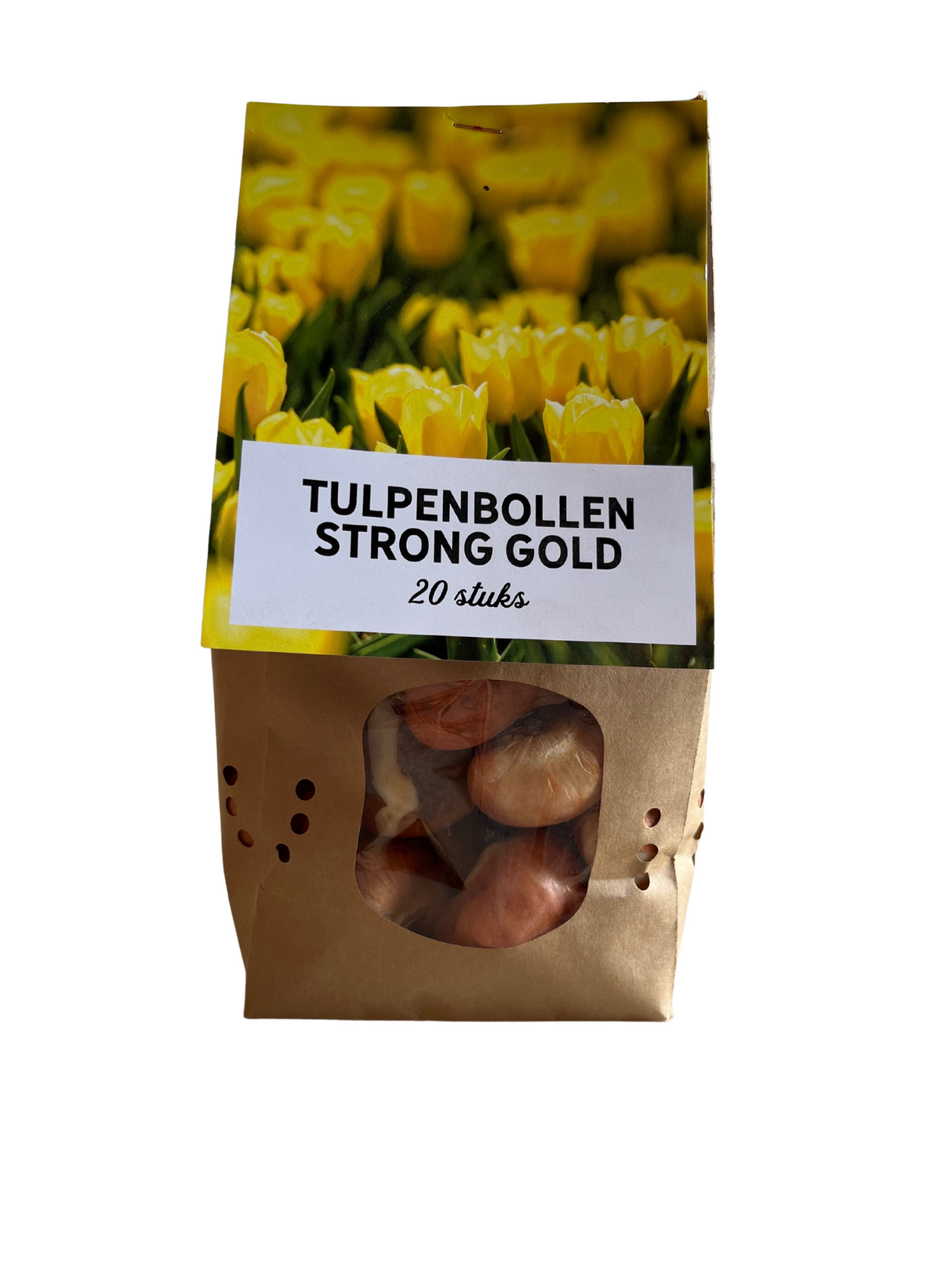 Bulbes de tulipes Strong Gold – 20 pièces | KH Bloembollen® | Tulipe jaune – Éclatante & Puissante – Pour jardin ou pot – Taille 11/12 – Frais du producteur