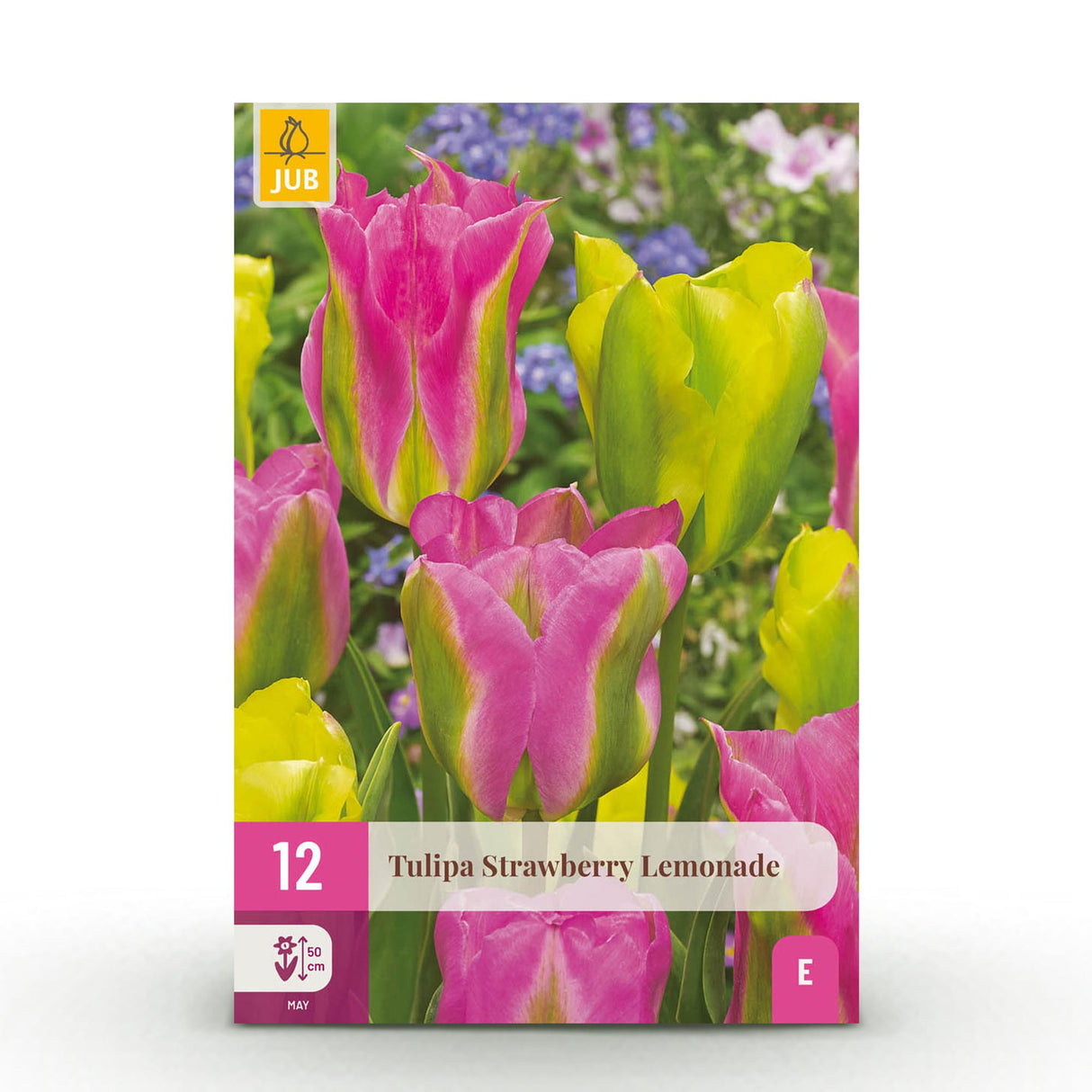 Green boutiQ - Bloembollen - Tulp Strawberry Lemonade - Diversen Kleuren - 12 stuks - Bolmaat 11/12 - XXL Pack