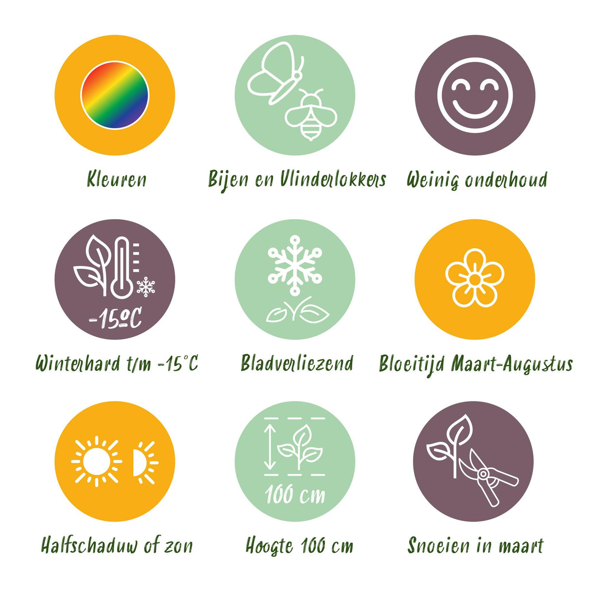 Borderpakket - Bijen en Vlinderlokkend - 8 Vaste planten - 1 m2 - Diversen kleuren - Weinig Onderhoud - Pot 11cm