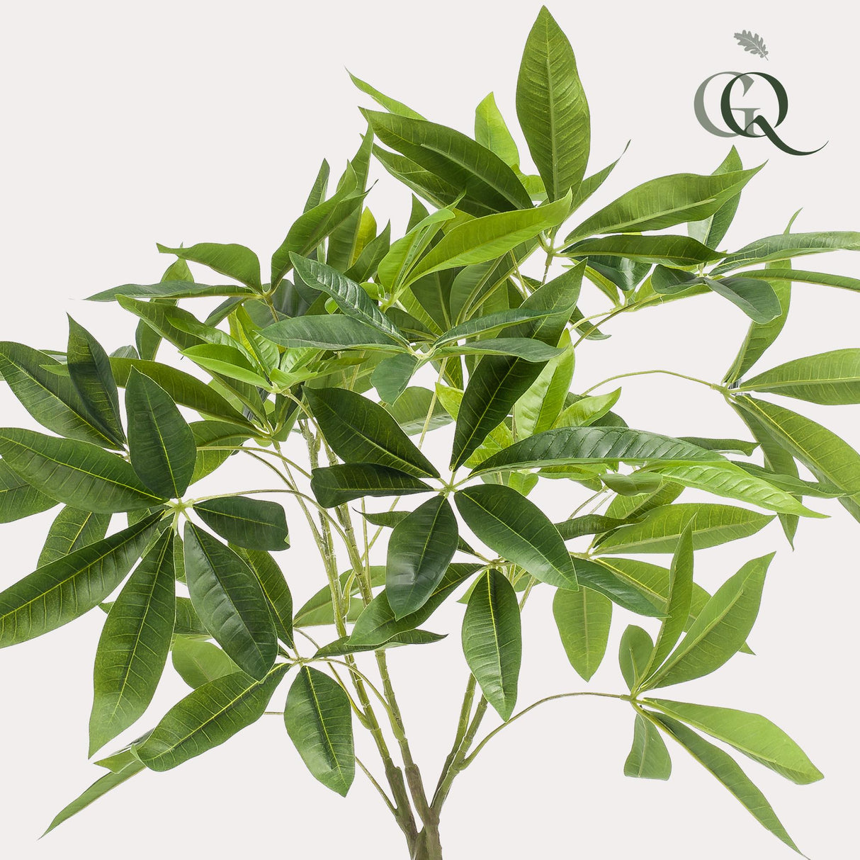 Kunstpflanze - Pachira aquatica - Geldbaum - 90cm
