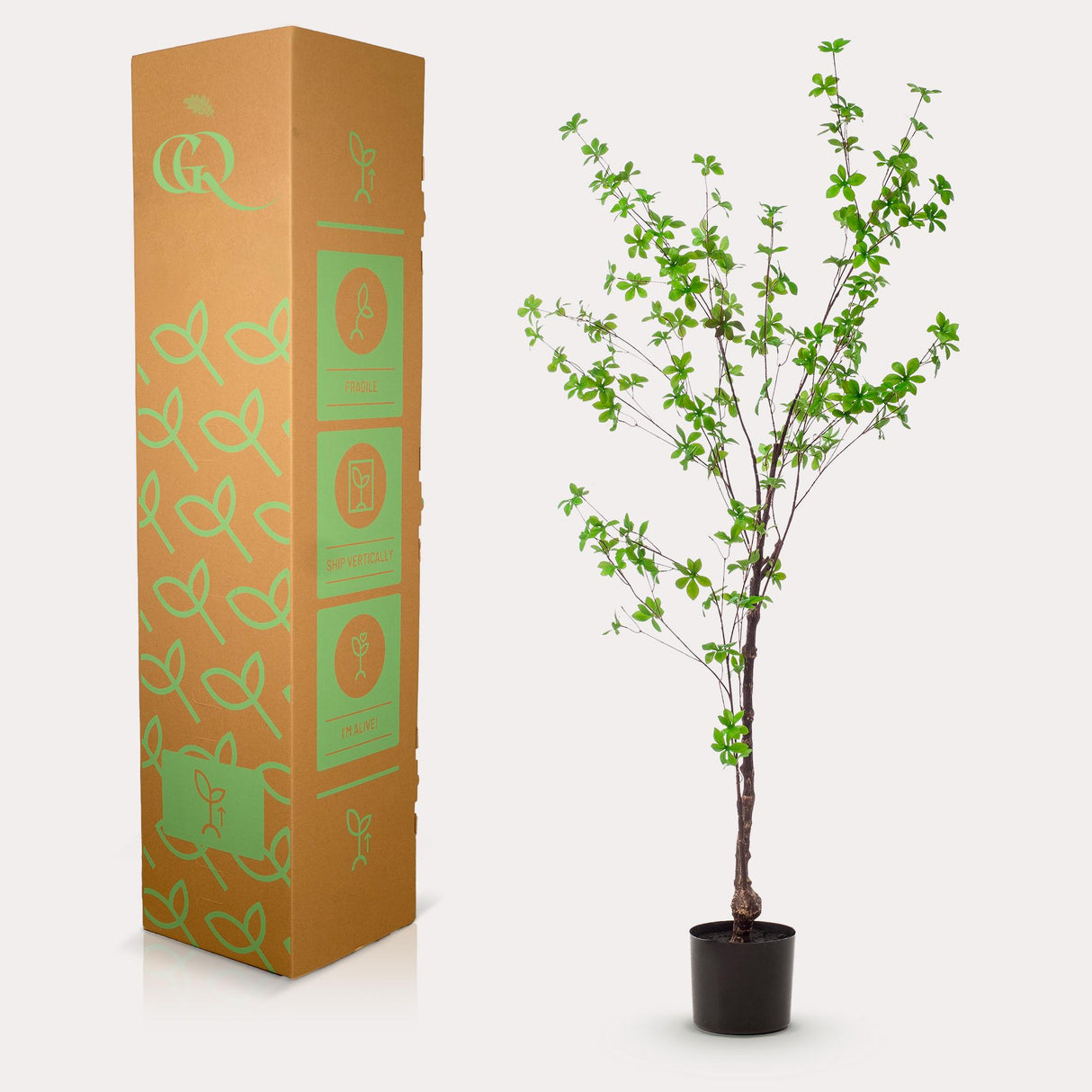 Kunstpflanze - Tropaeolum Speciosum - Kapuzinerkresse - 150 cm