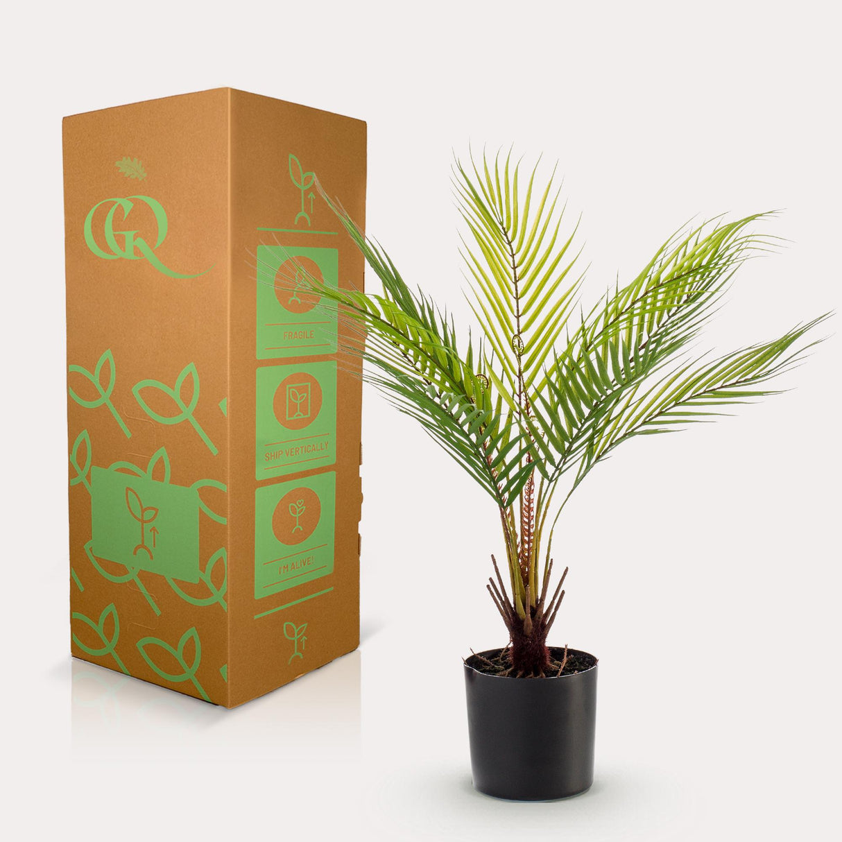 Kunstpflanze - Chamaedorea - Bergpalme - 50 cm