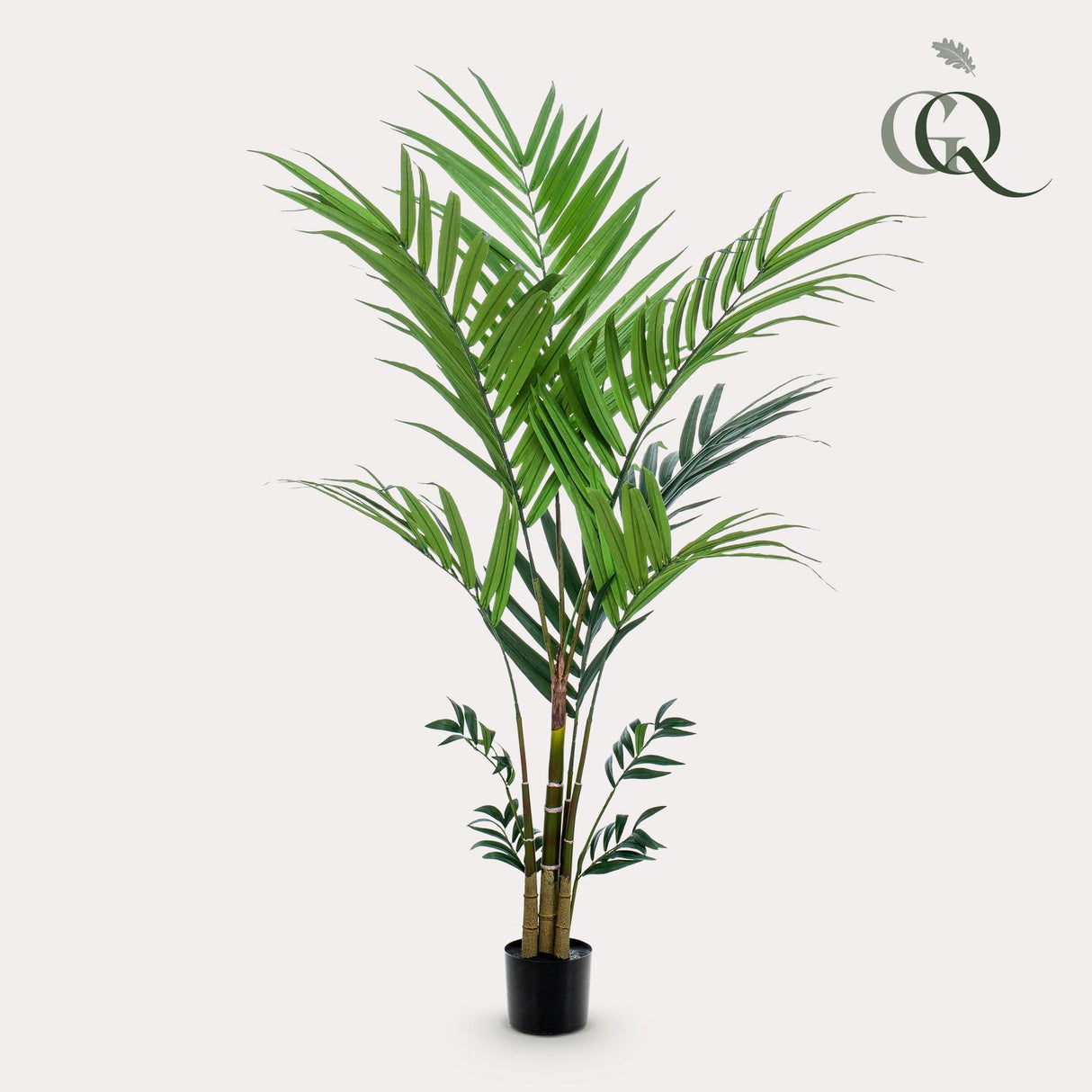 Kunstpflanze - Kentia - Kentiapalme - 180 cm