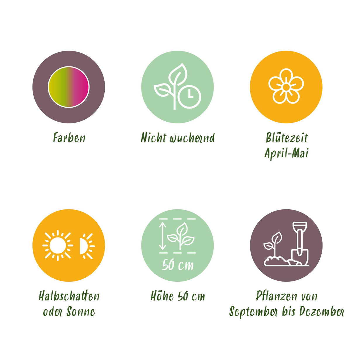 Green boutiQ - Bloembollen - Tulp Strawberry Lemonade - Diversen Kleuren - 12 stuks - Bolmaat 11/12 - XXL Pack