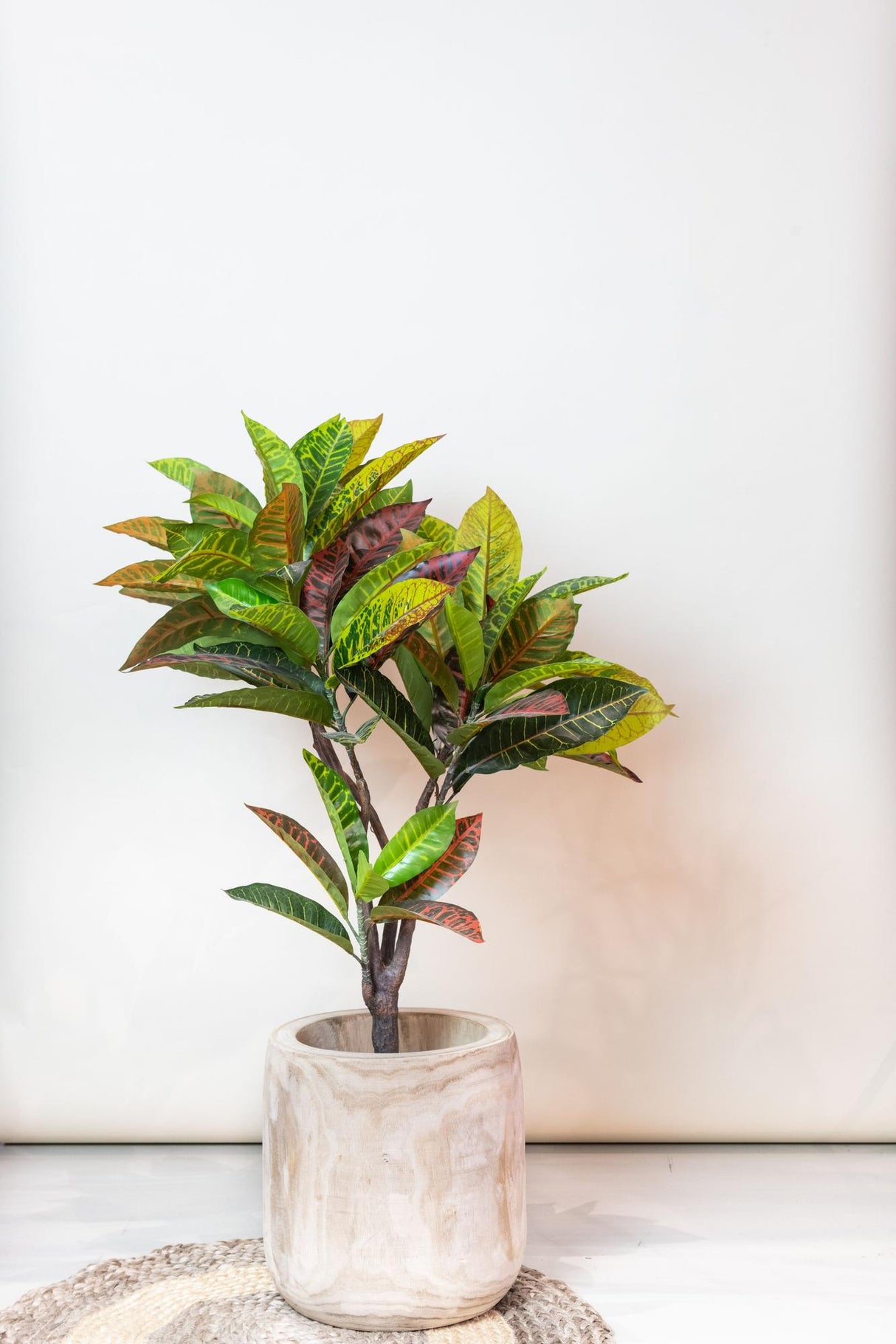 Kunstplant - Croton Codiaeum - Arbuste merveilleux - 95 cm