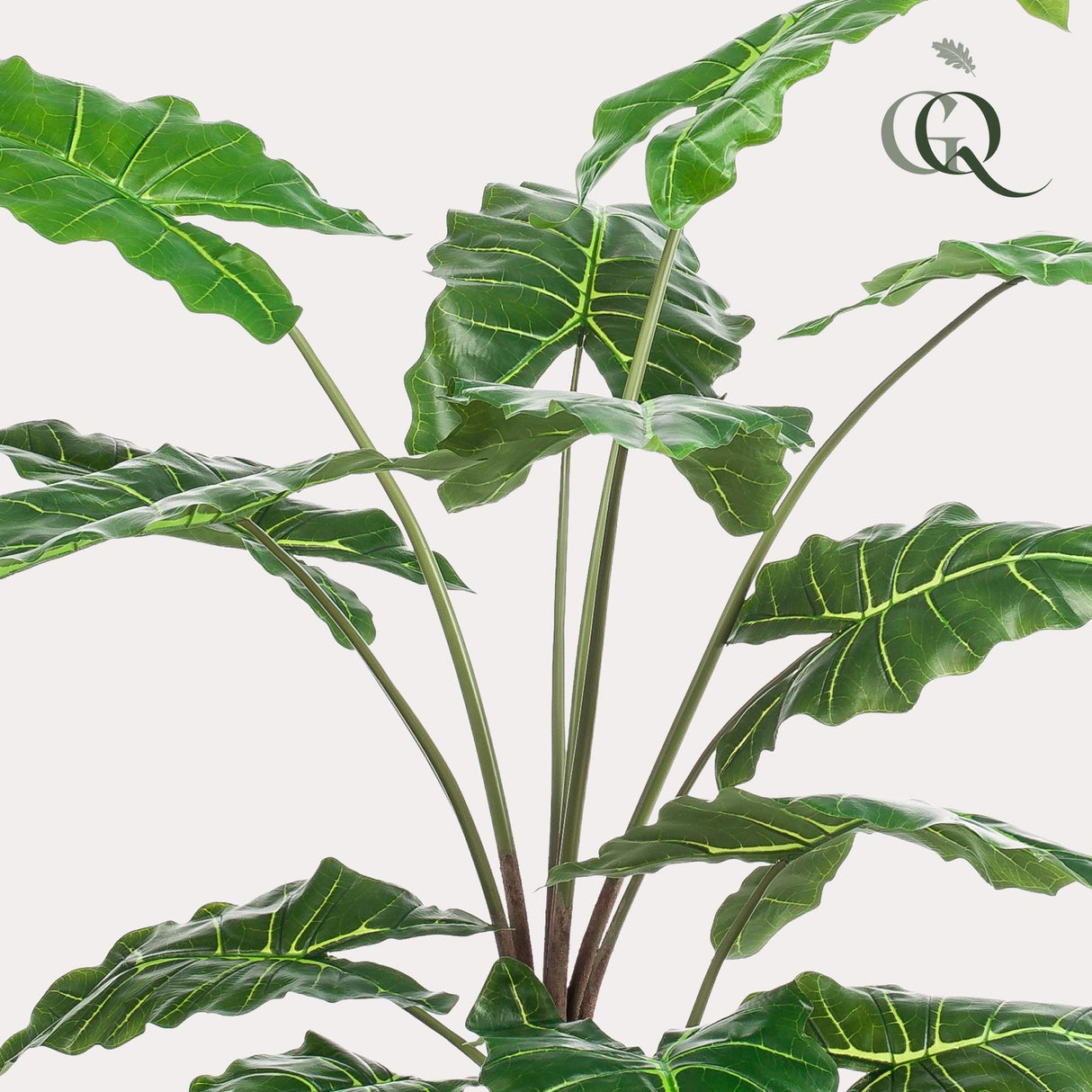 Kunstpflanze - Alocasia - Elefantenohr - 150 cm