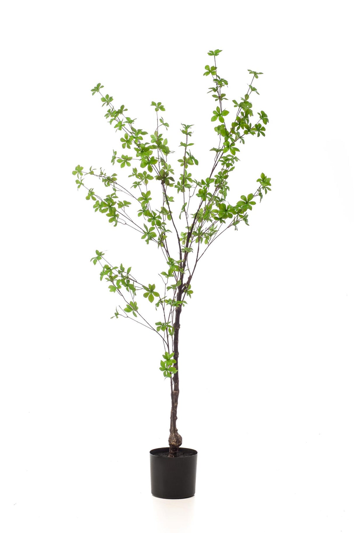 Kunstpflanze - Tropaeolum Speciosum - Kapuzinerkresse - 150 cm