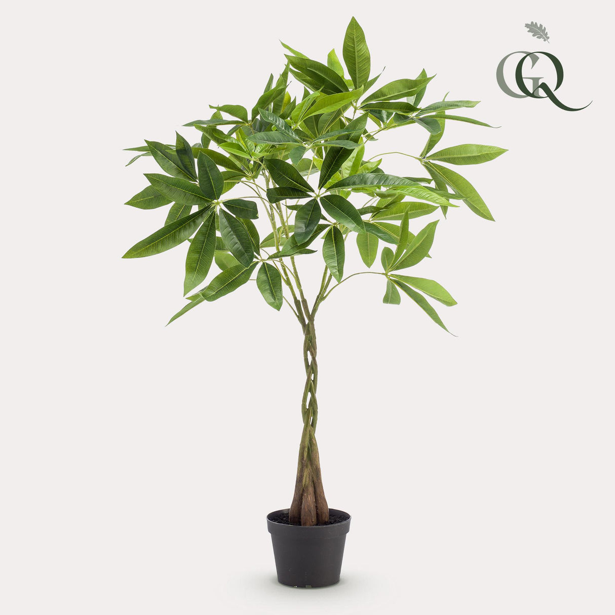 Kunstpflanze - Pachira aquatica - Geldbaum - 90cm