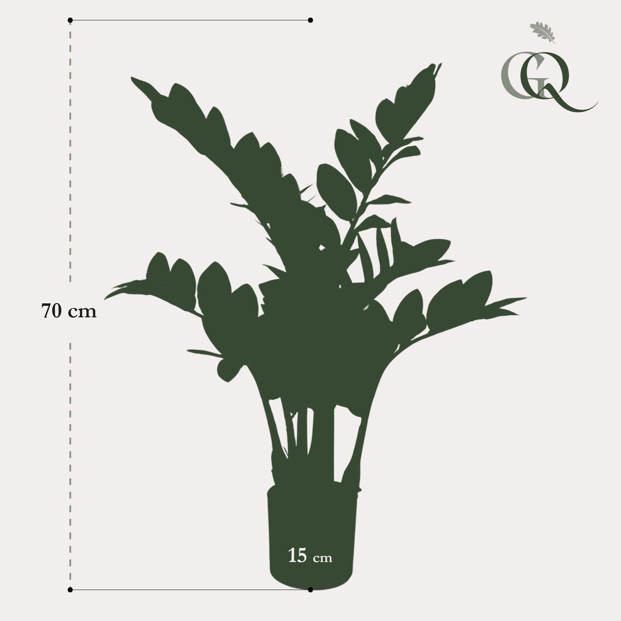 Kunstpflanze - Zamioculcas - Zimmerpalme - 70 cm