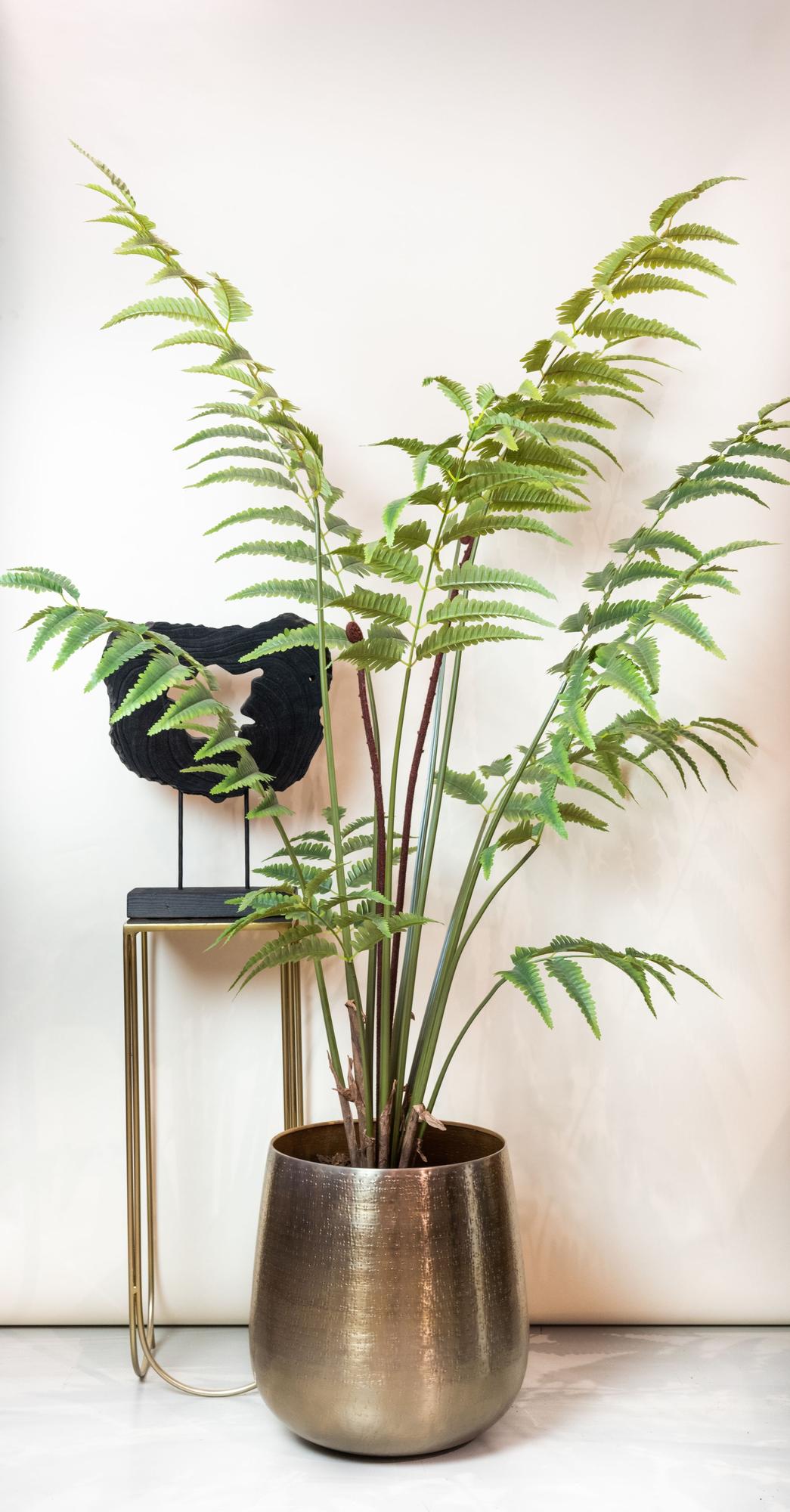 Plante artificielle - Rumohra Adiantiformis - Fougère cuir - 180 cm