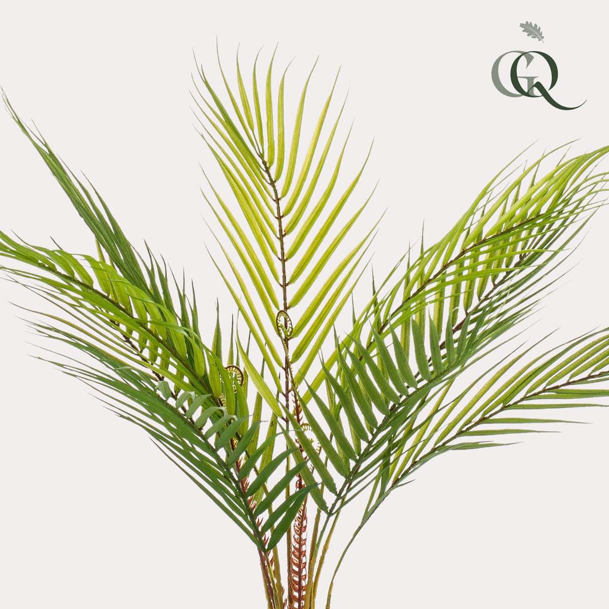 Kunstpflanze - Chamaedorea - Bergpalme - 50 cm