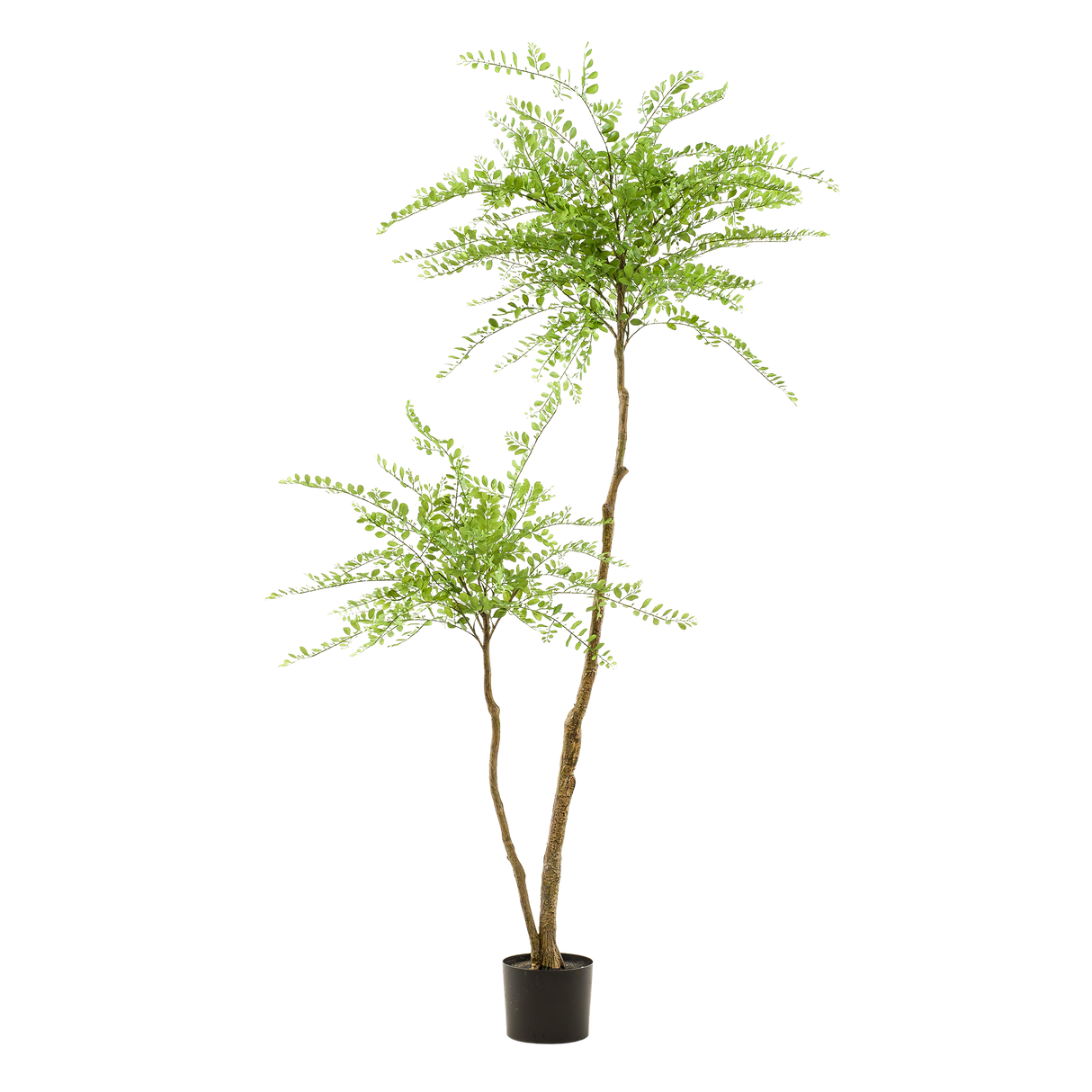 Kunstpflanze - Sophora-Baum - Honigbaum - 190cm