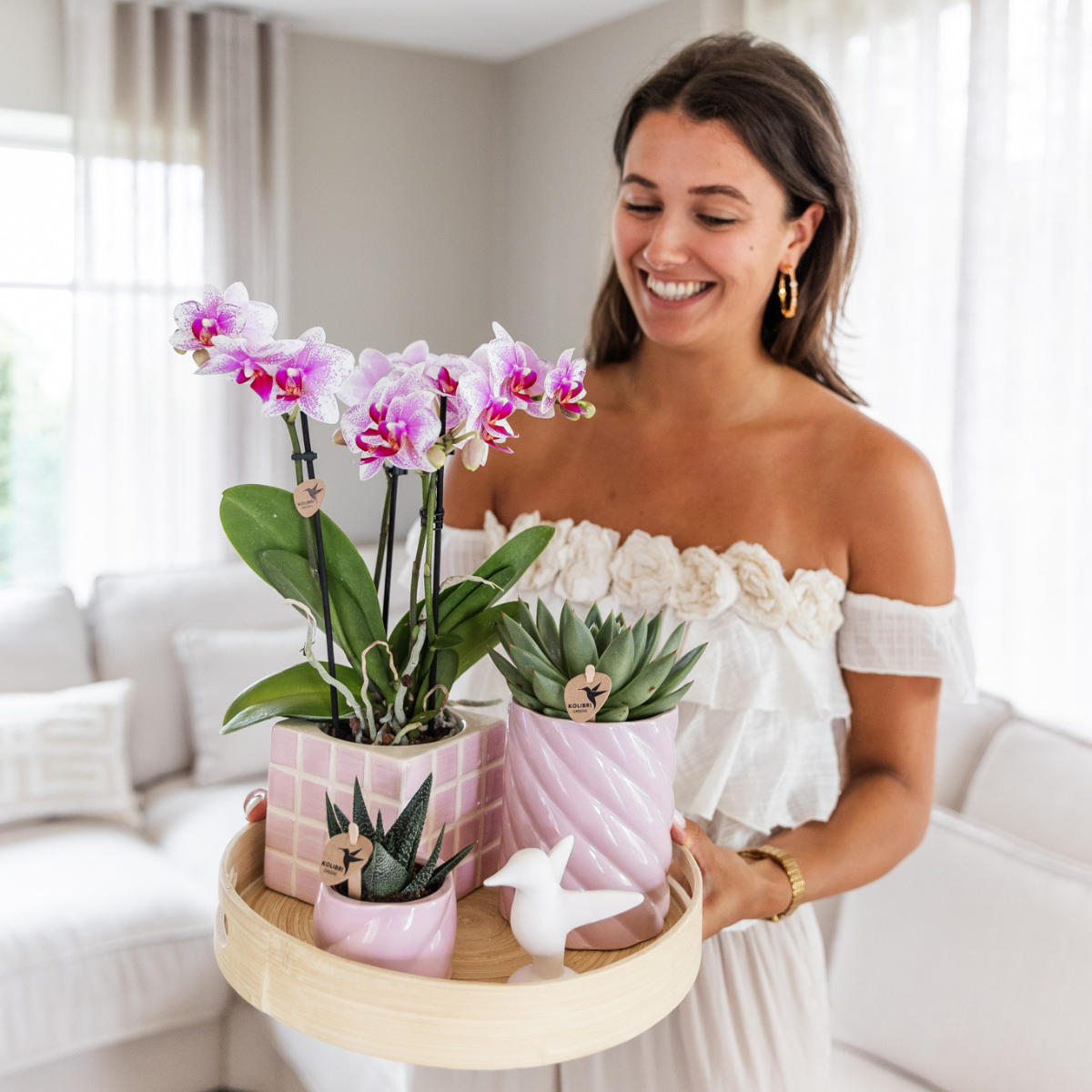 Kolibri Orchids | roze Phalaenopsis orchidee potmaat Ø9cm | Rotterdam | bloeiende kamerplant - vers van de kweker