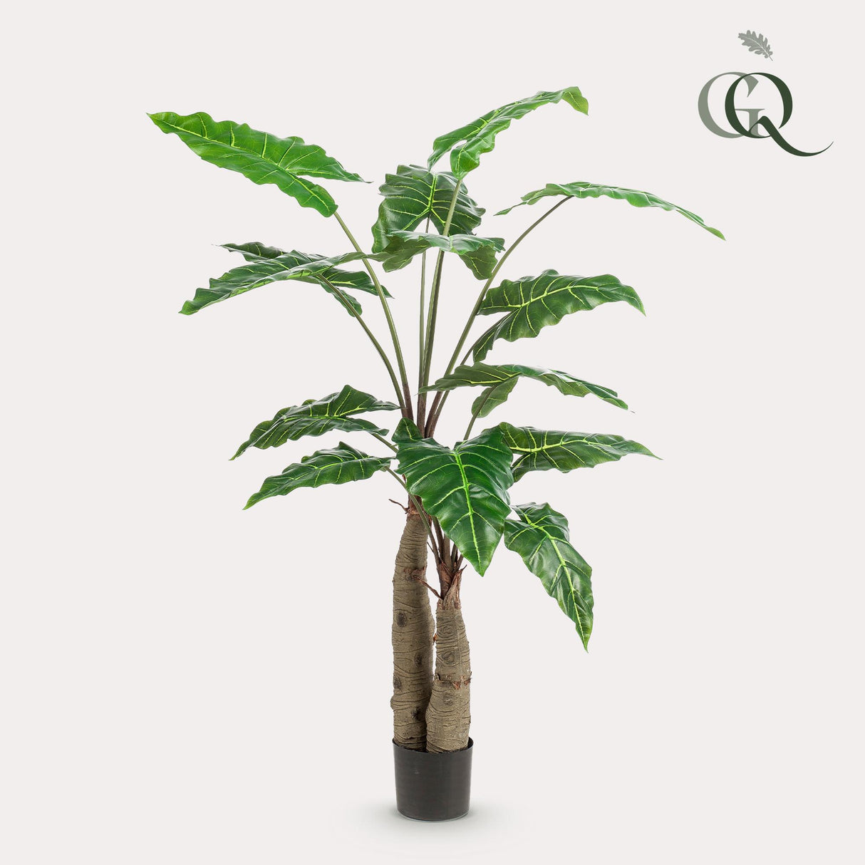 Kunstpflanze - Alocasia - Elefantenohr - 150 cm