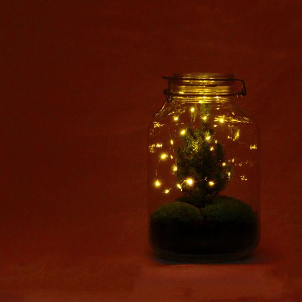 DIY - Weihnachts-Terrarium ↕28cm - Ø18cm