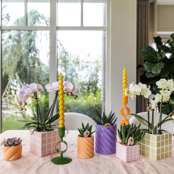 Kolibri Home | Candy Zierpot | Hoch - Pfirsich - Ø6cm