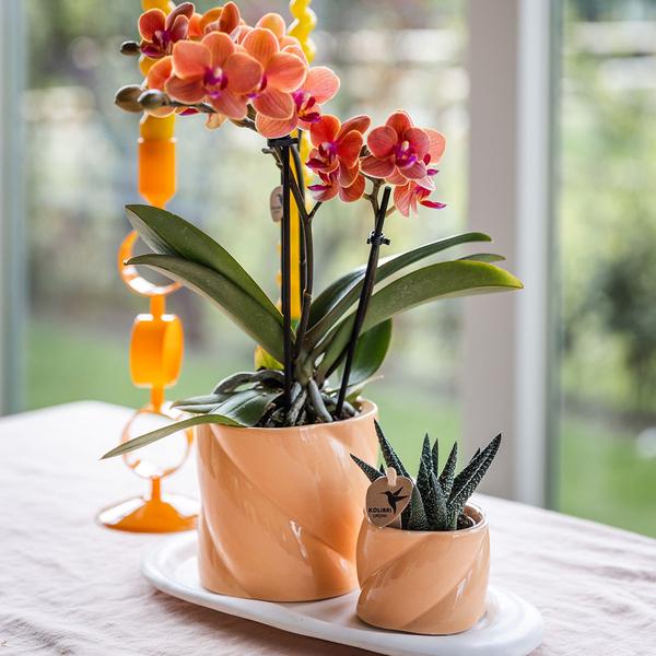 Kolibri Home | Candy Zierpot - Pfirsich - Ø6cm