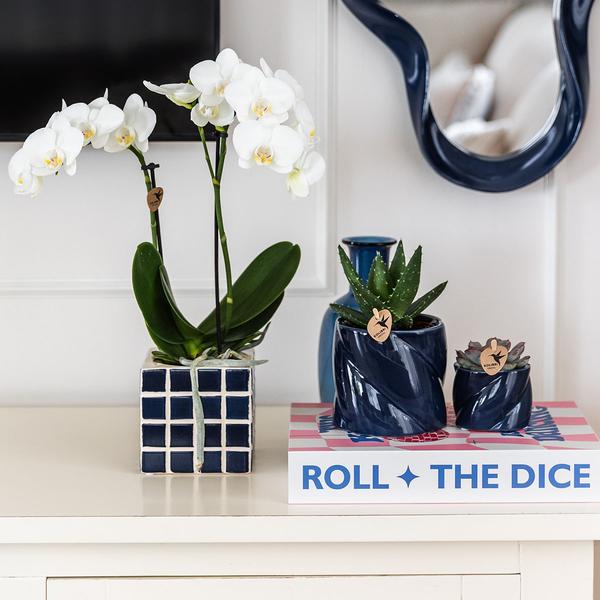 Kolibri Home | Pot décoratif Candy - Bleu - Ø6cm