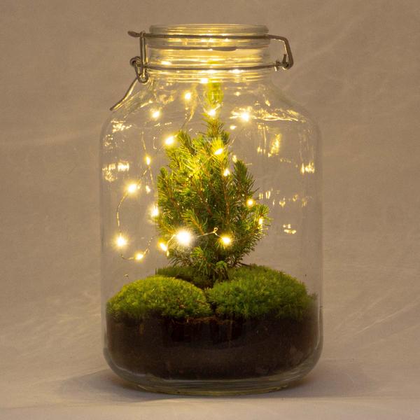 DIY - Weihnachts-Terrarium ↕28cm - Ø18cm