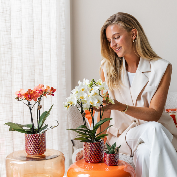 Diamond pearl sierpot - Rood - Ø6cm