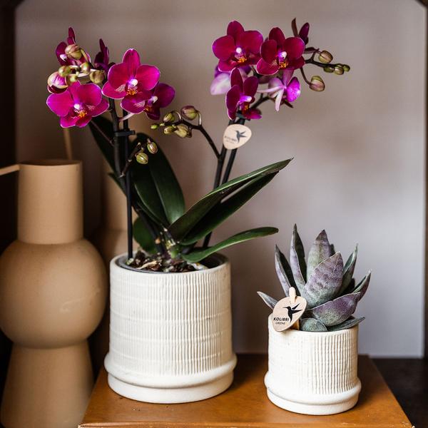 Bali sierpot - Gebroken Wit - Ø6cm