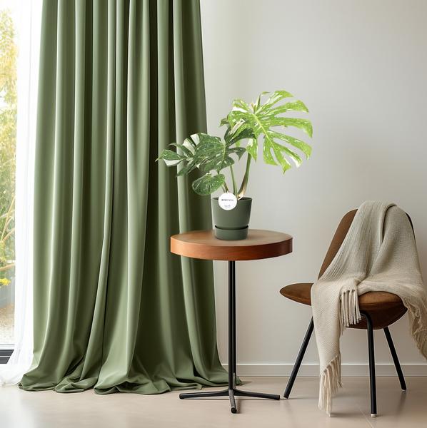 Monstera Thai Constellation - ↕40-50cm - Ø15cm