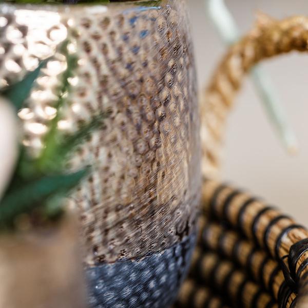 Gift set Home Hub | Plantenset met Phalaenopsis Orchidee en Succulenten incl. keramieken sierpotten