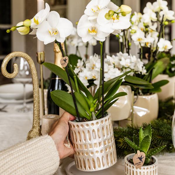 Mozaïek sierpot - Ø9cm