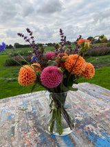 Dahlia Blush