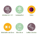 Green boutiQ - Terrasplant - Japanse Esdoorn - Acer palmatum Trompenburg -Donker Paars - 2 Planten - Bladverliezend - Pot 19cm Hoogte 70cm