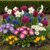 Green boutiQ - Bulbes de fleurs - Mélange Bulb Garden - Différentes variétés et couleurs - 125 pièces - Emballage cadeau