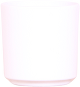 Kolibri Orchids | Planten cadeau veel succes |  Lausanne orchidee met pot, kaart & cadeautas