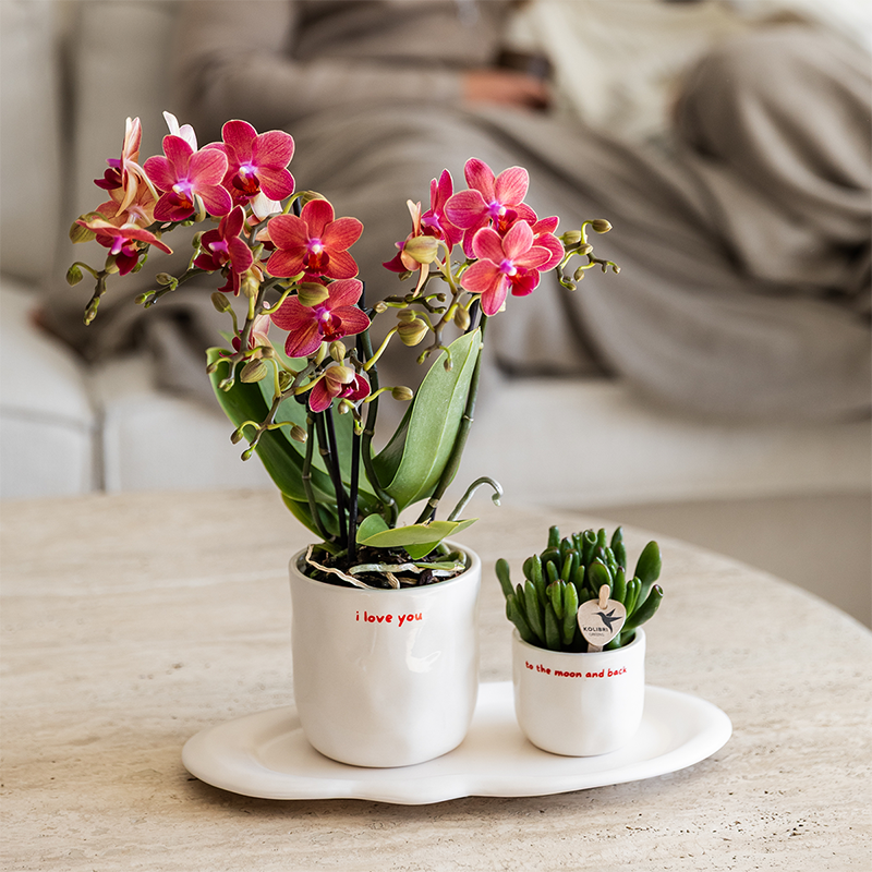 Kolibri Home | I love you sierpot - Ø9cm