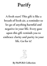 Clusia Rosea Gift "Purify" WITH GREETING CARD! - Ø12cm - ↕30cm