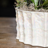 Kolibri Orchids | Oranje Mono Bouquet Jewel Las Vegas in Oyster Dish