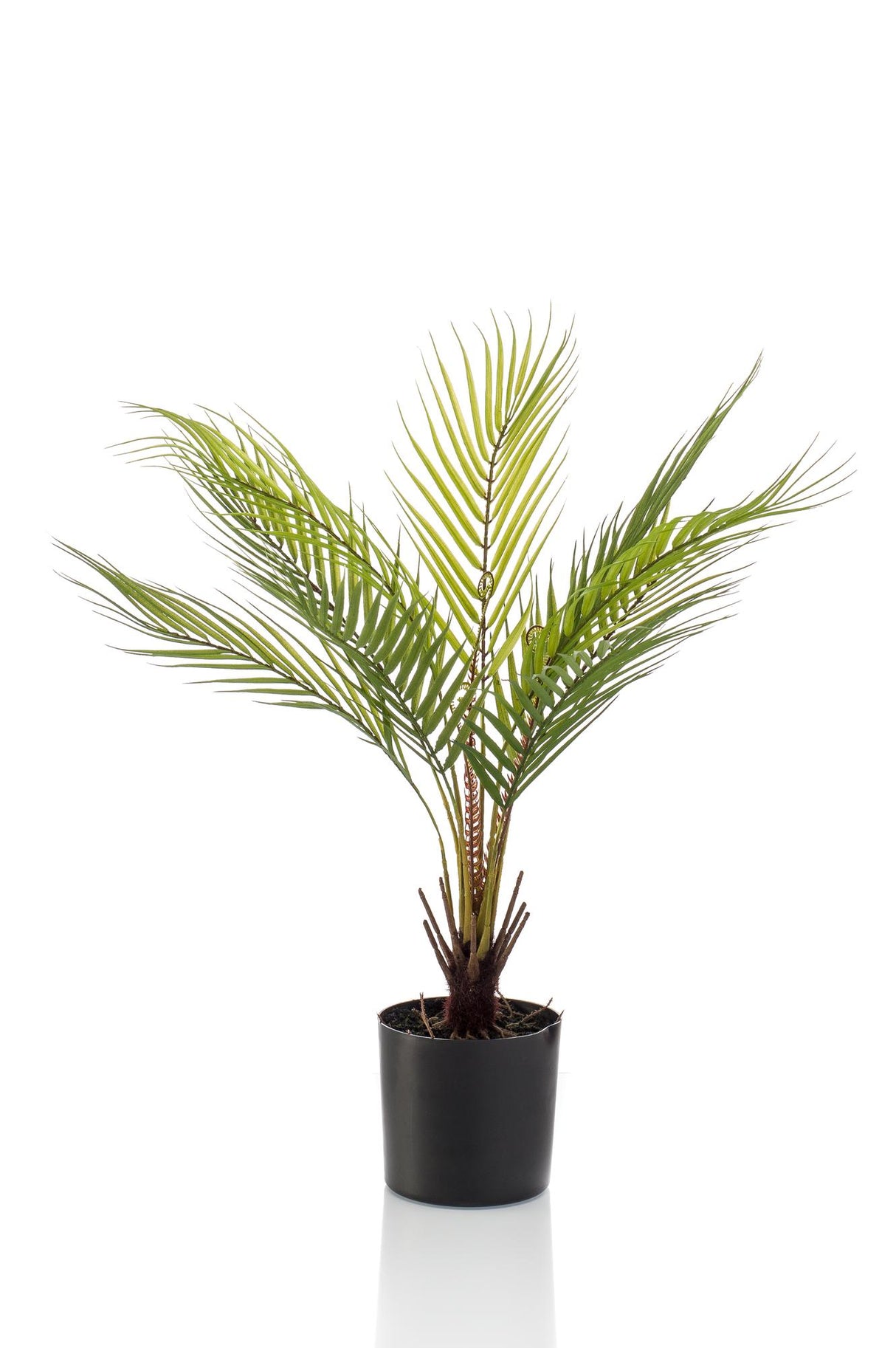Kunstpflanze - Chamaedorea - Bergpalme - 50 cm