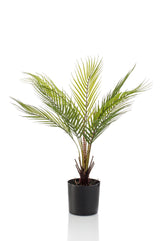 Kunstpflanze - Chamaedorea - Bergpalme - 50 cm