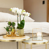 Kolibri Orchids | witte Phalaenopsis orchidee – Amabilis + Diamond sierpot goud – potmaat Ø9cm | bloeiende kamerplant in bloempot - vers van de kweker
