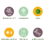 Green boutiQ - Terrasplant - Japanse Esdoorn - Acer palmatum Koto-no-ito - Groen - 2 Planten - Bladverliezend - Pot 19cm Hoogte 70cm