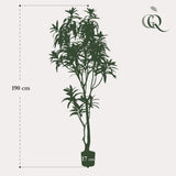 Kunstplant - Dracaena - Drakenboom - 190 cm