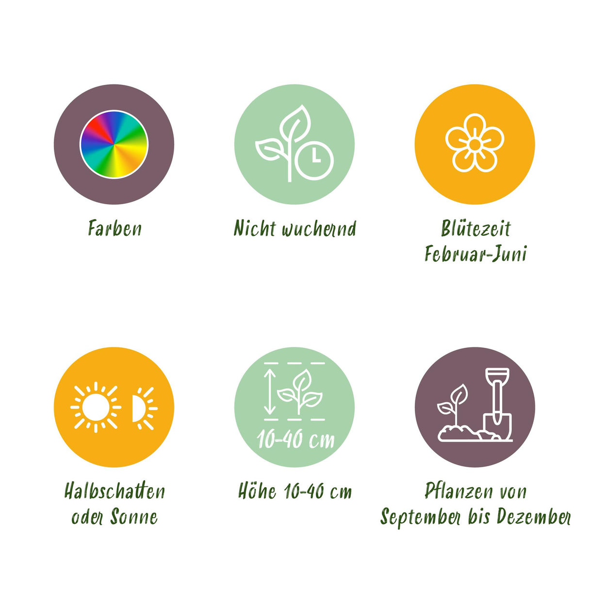 Green boutiQ - Bulbes de fleurs - Mélange Bulb Garden - Différentes variétés et couleurs - 125 pièces - Emballage cadeau